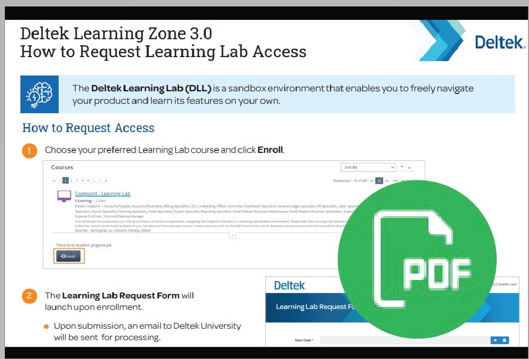 Deltek Learning Zone DLZ 